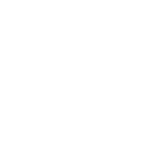 Vlerick Alumni Entrepreneurship Club icon white