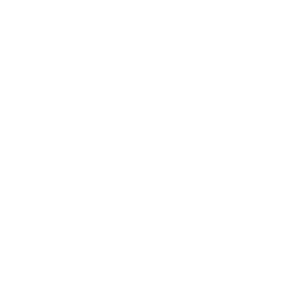 Vlerick Alumni Impact Club icon white