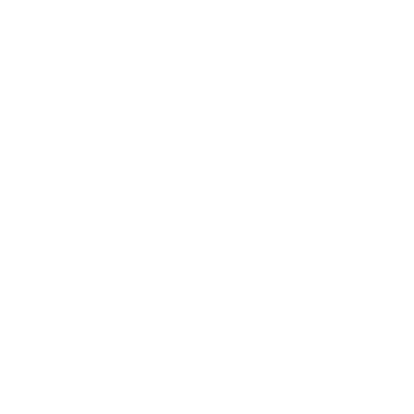 Vlerick Alumni Legal Club icon white