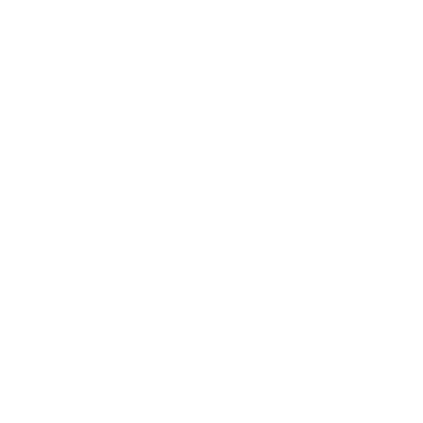 Vlerick Digital Transformation Club icon white